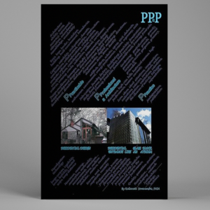 PPaP Practicable Professional Architecture Practice